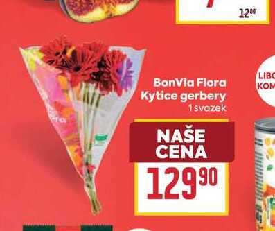 BonVia Flora Kytice gerbery 1 svazek 