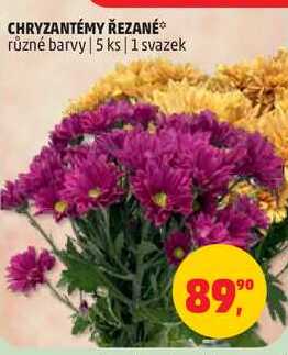 CHRYZANTÉMY ŘEZANÉ různé barvy, 5 ks, 1 svazek