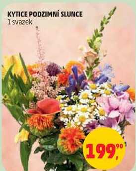 KYTICE PODZIMNÍ SLUNCE, 1 svazek