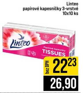 Linteo papírové kapesničky 3-vrstvé 10x10 ks 