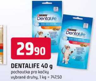 DENTALIFE 40 g pochoutka pro kočky 