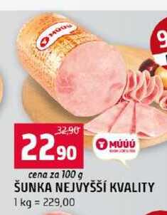 ŠUNKA NEJVYŠŠÍ KVALITY 100g