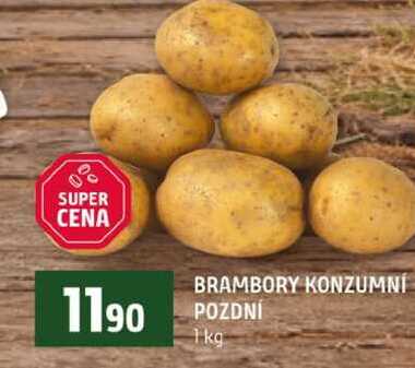 BRAMBORY KONZUMNÍ POZDNÍ 1kg