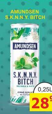 AMUNDSEN S.K.N.N.Y. BITCH 0,25L míchaný nápoj, plech