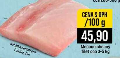 Mečoun obecný filet cca 3-5 kg 100g