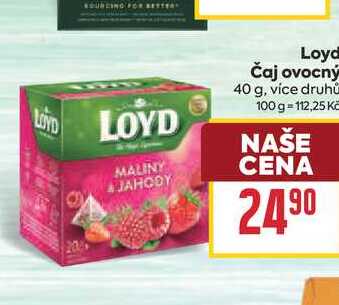 Loyd Čaj ovocný 40 g