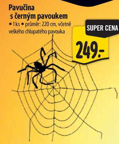 Pavučina s černým pavoukem 