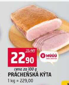 PRÁCHEŇSKÁ KÝTA 100g