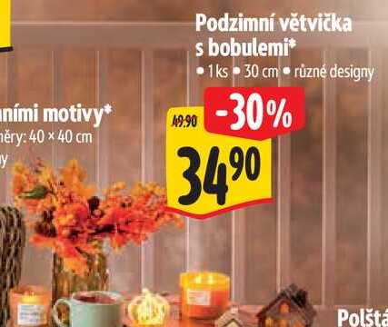 Podzimní větvička s bobulemi*