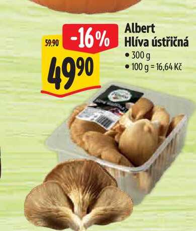 Albert Hlíva ústřičná 300 g