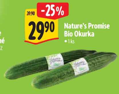 Nature's Promise Bio Okurka, 1 ks