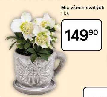 Mix všech svatých, 1 ks