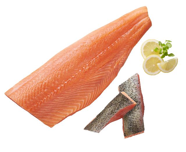 Pstruh duhový (Oncorhynchus mykiss) filet, chlazený