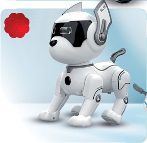 IR Robopes Junior