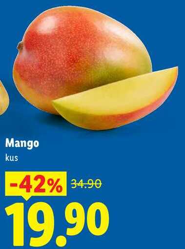 Mango, kus