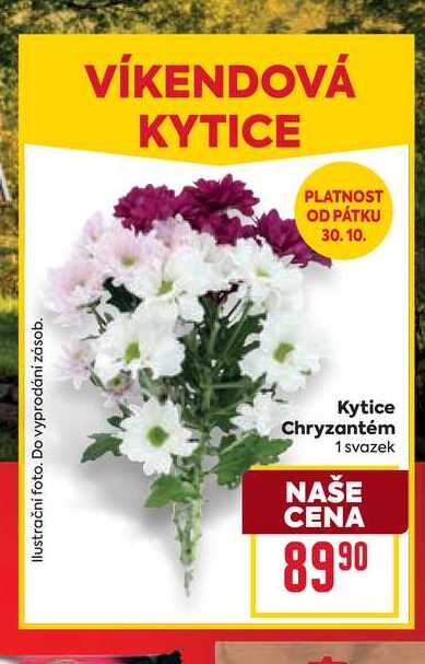 Kytice Chryzantém 1 svazek  
