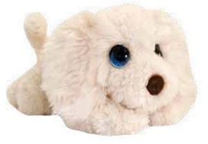 ŠTĚNĚ LABRADOR