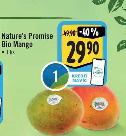 Nature's Promise  Bio Mango 1 ks