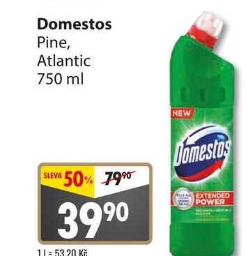 Domestos Pine, Atlantic 750 ml 