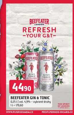   BEEFEATER GIN & TONIC 0,25 l