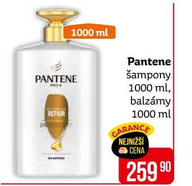 Pantene šampon 1000ml, vybrané druhy