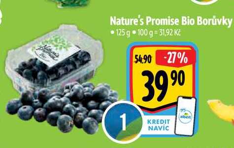 Nature's Promise Bio Borůvky 125 g 