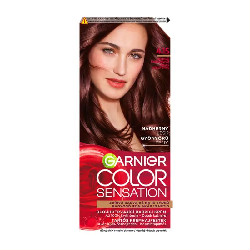 Garnier Barva na vlasy Color Sensation 4 .15 ledově kaštanová, 1 ks