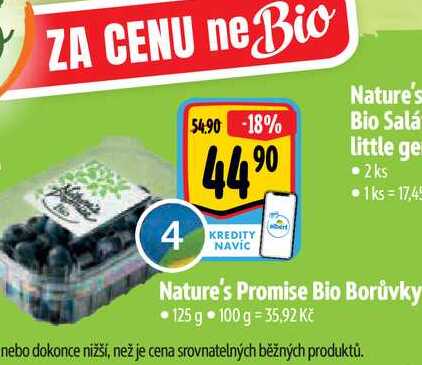 Nature's Promise Bio Borůvky, 125 g 
