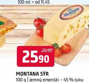 Montana sýr 100 g jemný ementál - 45 % tuku 