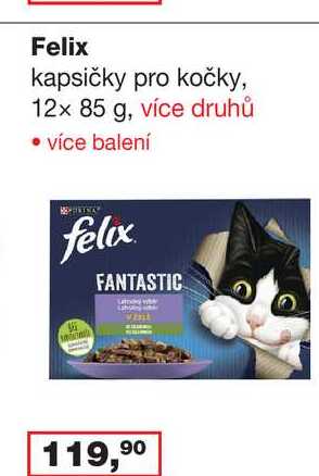 Felix kapsičky pro kočky, 12x 85 g