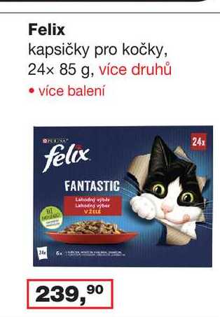 Felix kapsičky pro kočky, 24x 85 g, více druhů 