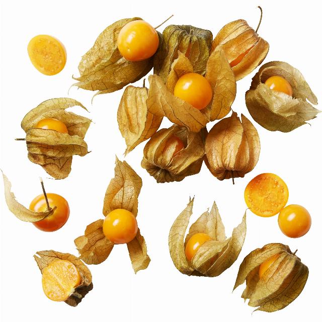 Physalis