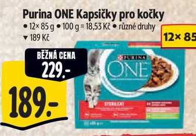 Purina ONE Kapsičky pro kočky, 12x 85 g
