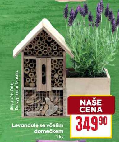 Levandule se včelím domečkem 1ks