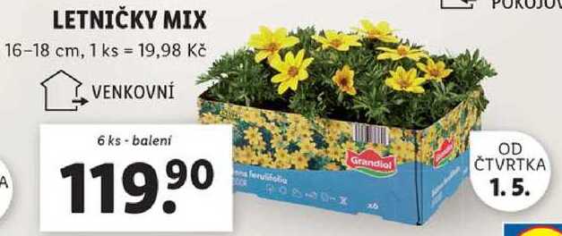 LETNIČKY MIX, 6 ks 