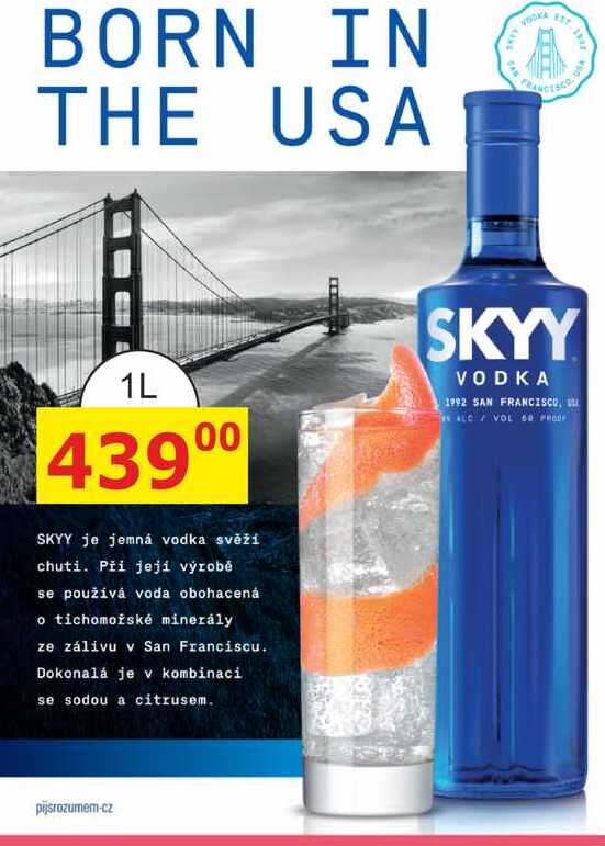 SKYY VODKA 1992 1L