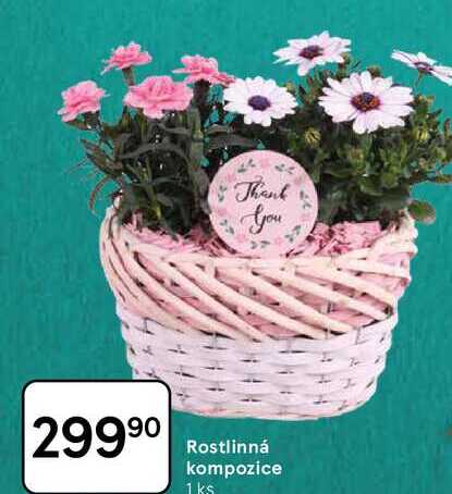 Rostlinná kompozice, 1 ks 