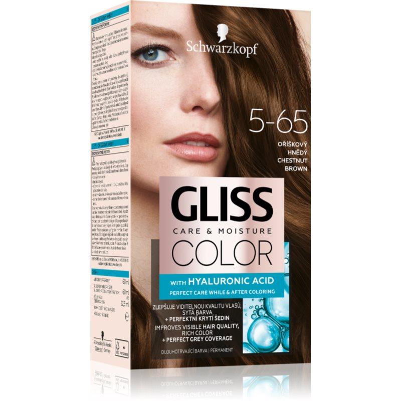 Schwarzkopf Gliss Color permanentní barva na vlasy odstín 5-65 Oříškový hnědý 1 ks