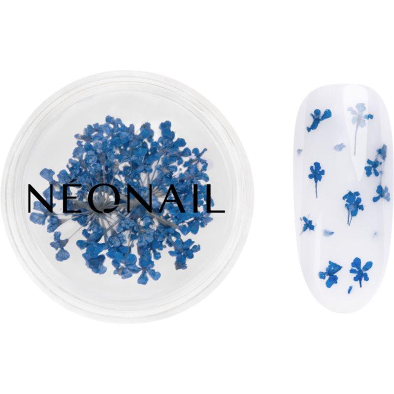 NEONAIL Dried Flowers sušený květ na nehty odstín 04 Navy 1 ks