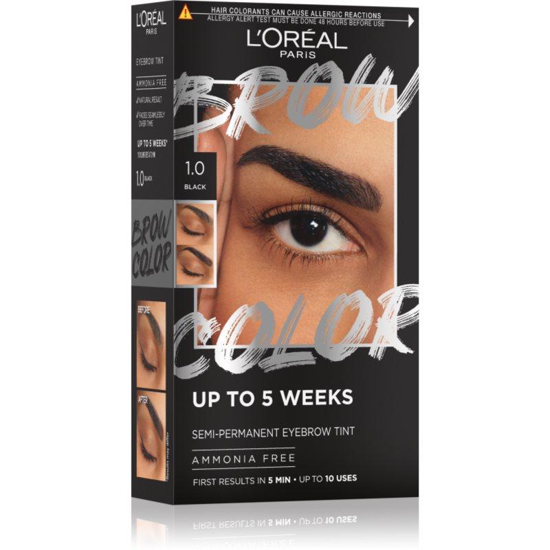 L’Oréal Paris Brow Color barva na obočí odstín 1.0 Black 1 ks