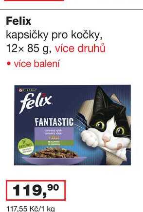 Felix kapsičky pro kočky, 12x 85 g, více druhů