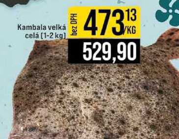 Kambala velká celá (1-2 kg)