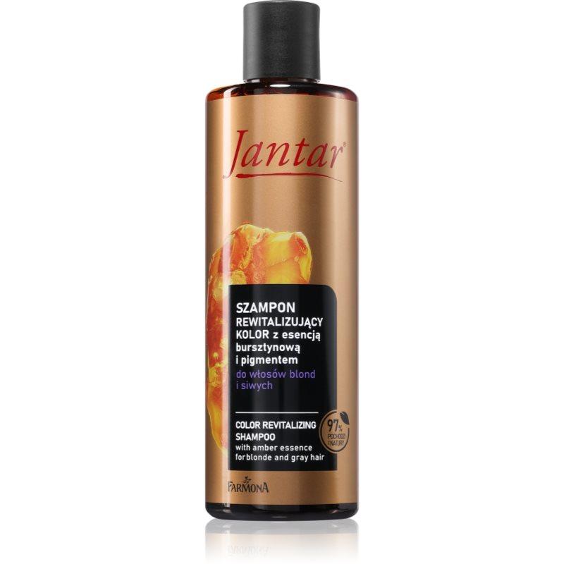 Farmona Jantar Amber Essence revitalizační šampon pro blond a šedivé vlasy 300 ml