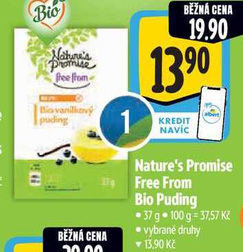 Nature's Promise Free From Bio Puding, 37 g