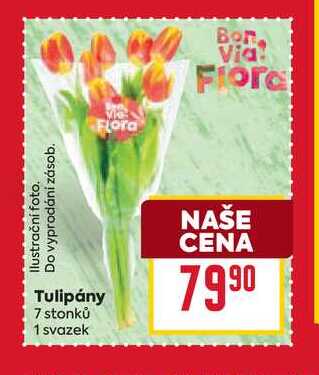 Tulipány 7 stonků 1 svazek 