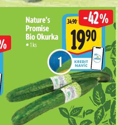 Nature's Promise Bio Okurka 1ks  