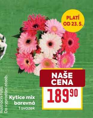 Kytice mix barevná 1 svazek 