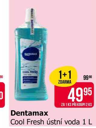 Dentamax Cool Fresh ústní voda 1 L 