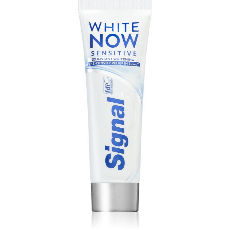 Signal White Now Sensitive bělicí zubní pasta pro citlivé zuby 75 ml