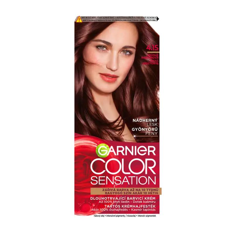 Garnier Barva na vlasy Color Sensation 4.15 ledově kaštanová, 1 ks